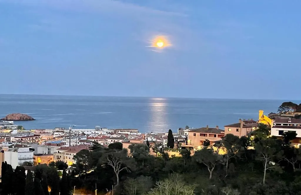 Lets Holidays Sea Views Apartment & Pool In Sa Gabarra Tossa de Mar España